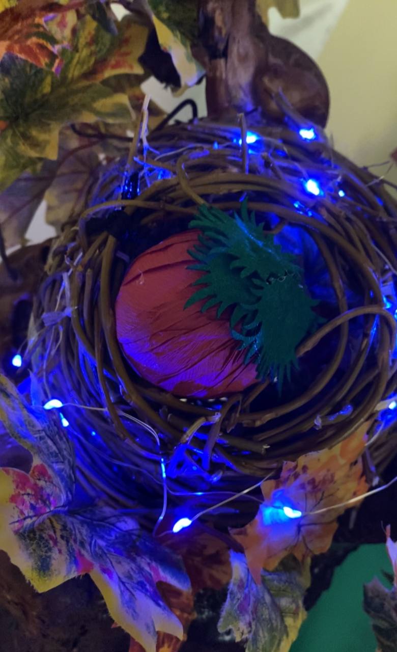 photo 5192976680954741251 y