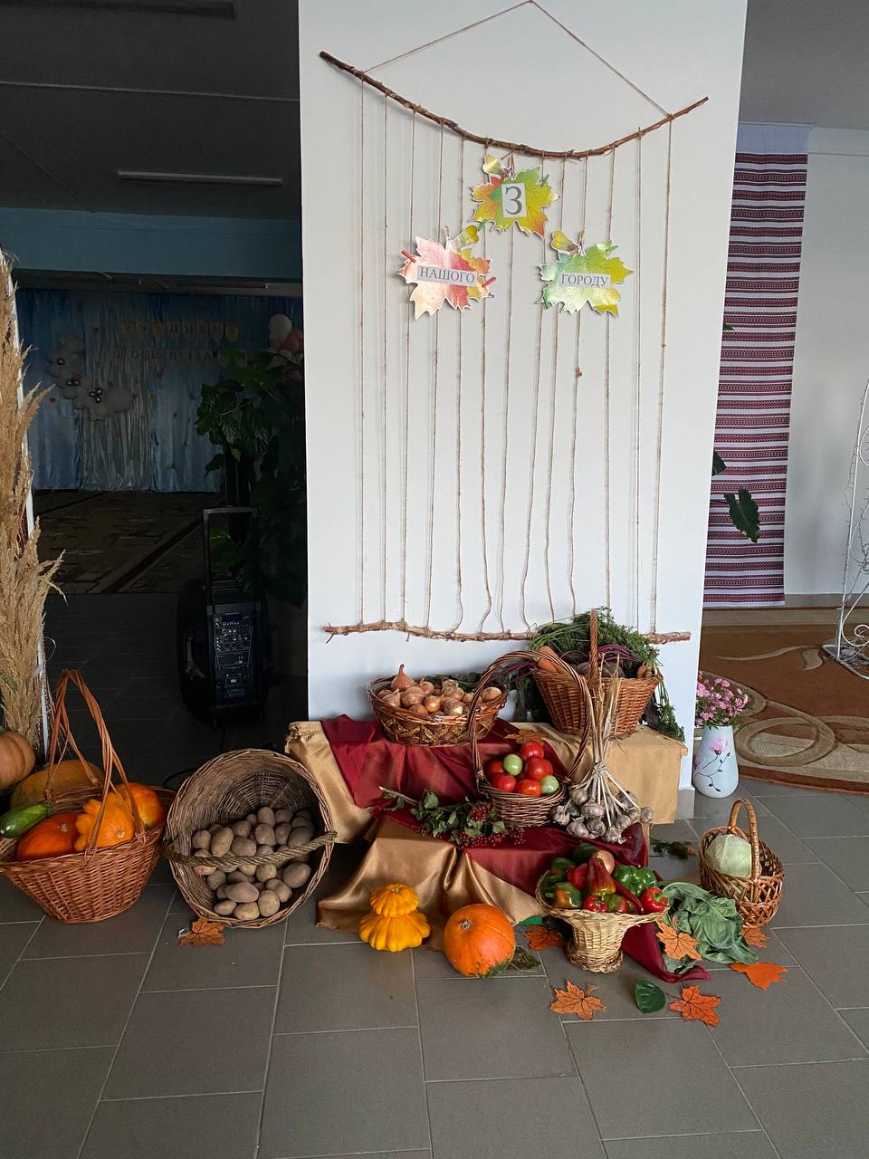 photo 5246833912989208656 y